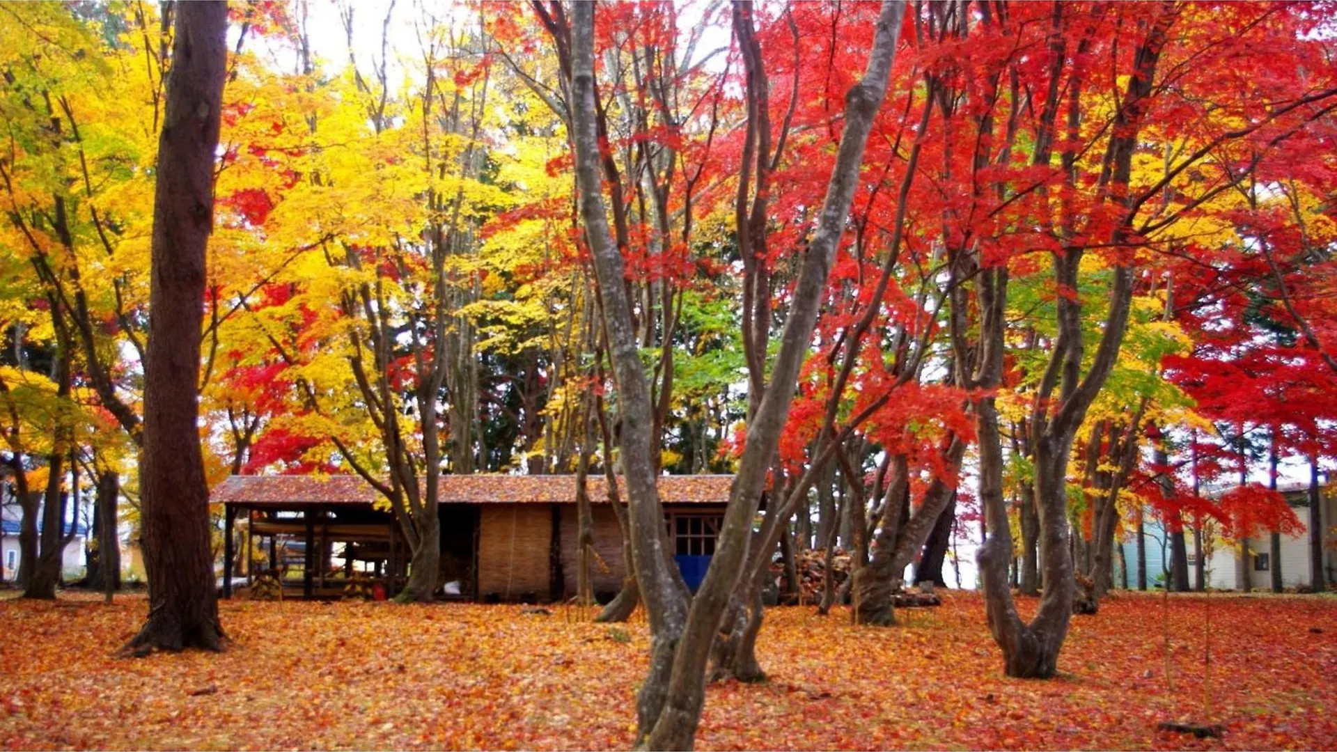 Yunohama Hotel - Vacation Stay 94798V Hakodate 0*,